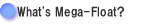 What's Mega-Float?